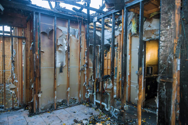 Professional Fire Damage Removal technician working in Harris, MN